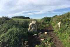 The gateposts and the first of the quartz stones. The gorse in the distance on the upper left is The Druid’s Circle.