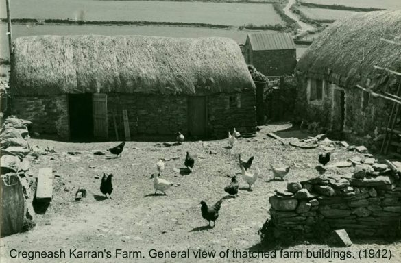 100616844_3299907080022520_7310073525073608704_n