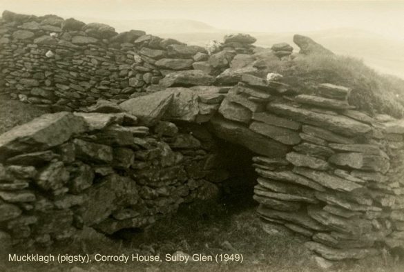 100629526_3299913260021902_704277235275661312_n