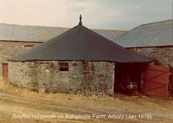 100639116_3299907506689144_5885816585368633344_n