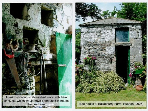 100701385_3299906626689232_9041260952443420672_n