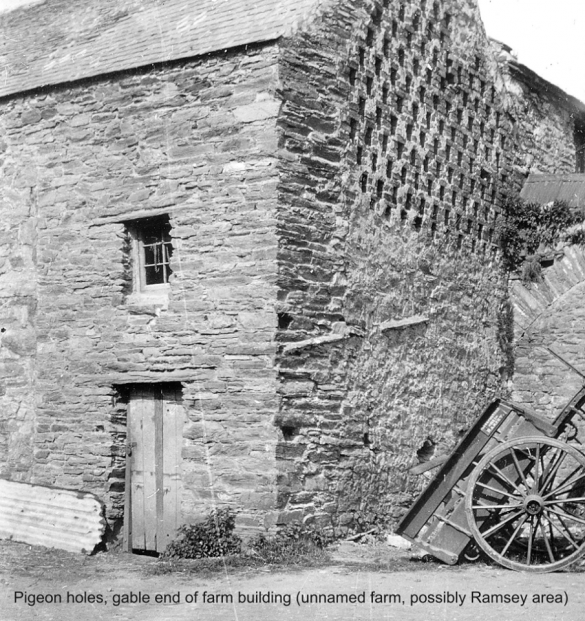 100763355_3299913023355259_1967380714202595328_n