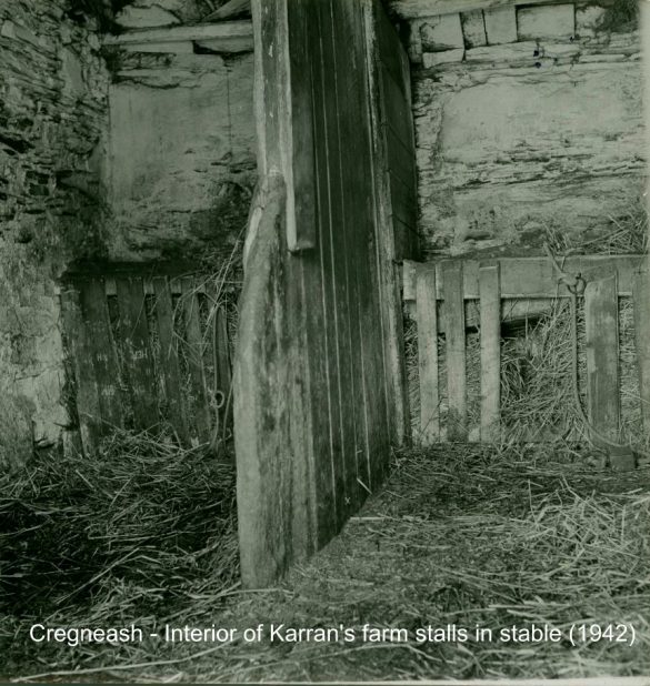 100917485_3299910103355551_2285727499818106880_n