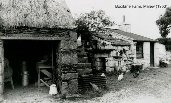 100921795_3299911440022084_4353575178475667456_n