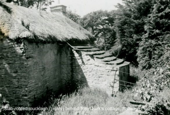 100997481_3299908963355665_4216886263732502528_n