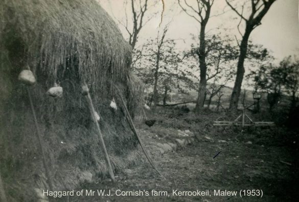 101405419_3299909526688942_4187135291561082880_n