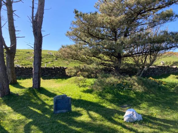 182795406_4314446108568607_7370284629148326409_n