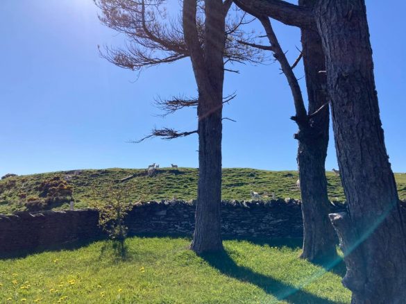 182796901_4314446185235266_3989230660763374078_n