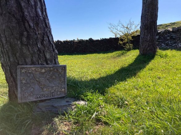 183074922_4314446211901930_576901438189276106_n